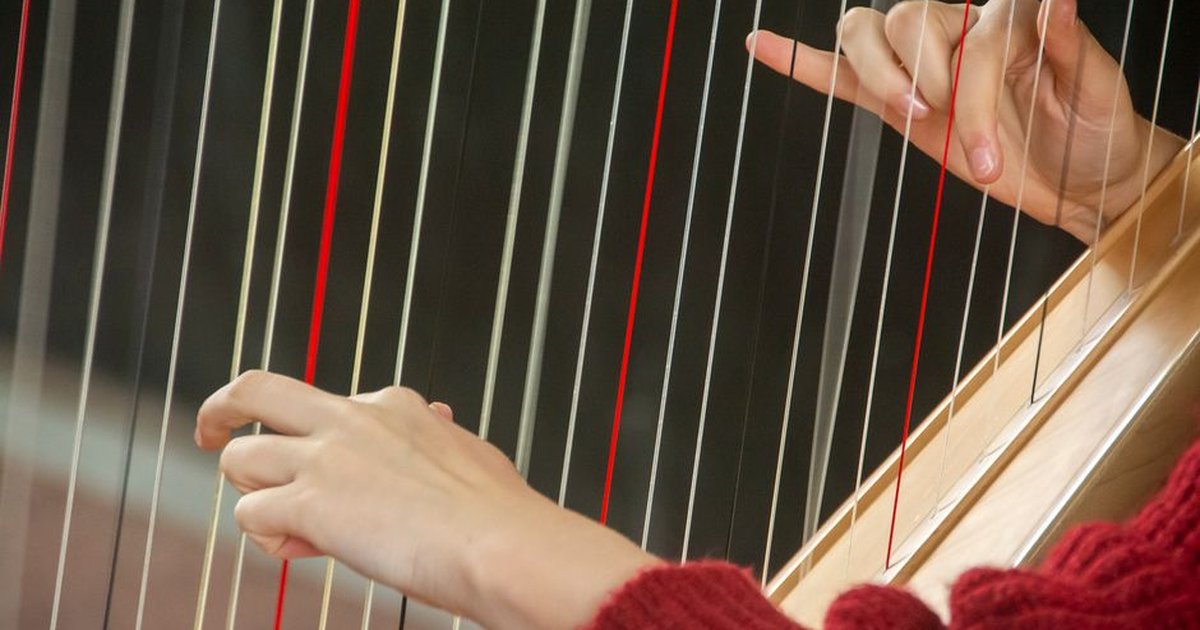 Hands gently plucking strings of a harp, capturing the essence of music and elegance.