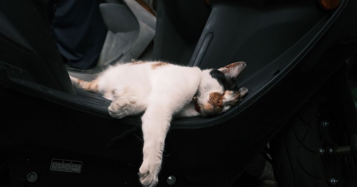 A relaxed cat peacefully napping on a parked motor scooter in an urban setting.