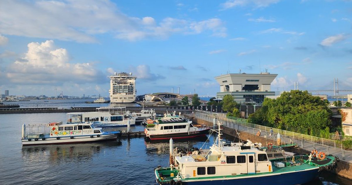 Colorful vessels moored at a bustling harbor with city buildings in the background under a blue sky.