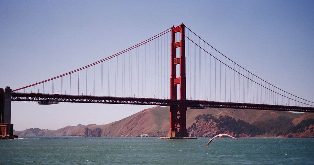 Stunning view of the Golden Gate Bridge with a seagull flying by, captured on film.